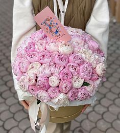 75 голландских пионов в коробке