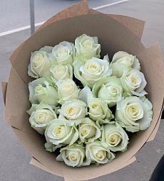 19 белых голландских роз
