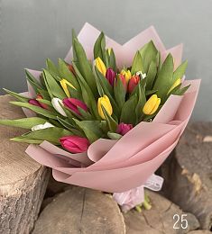 25 голландских тюльпан